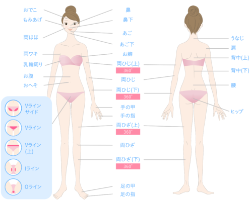 キレイモの脱毛範囲