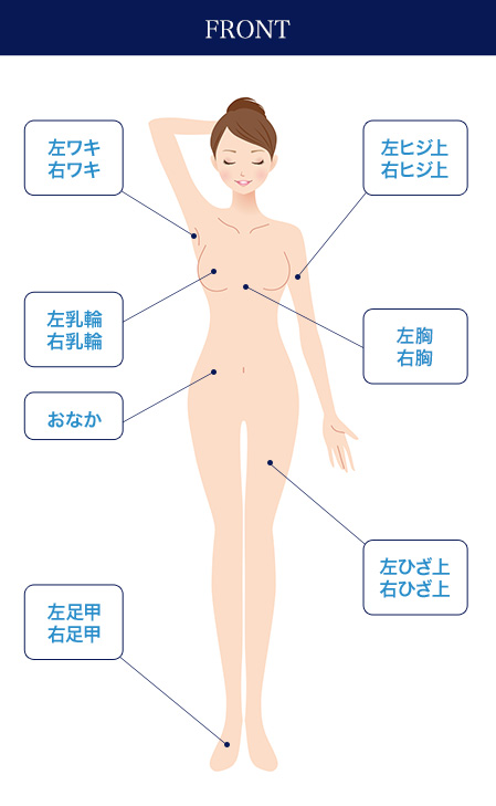 フレイアクリニックの全身脱毛の範囲①