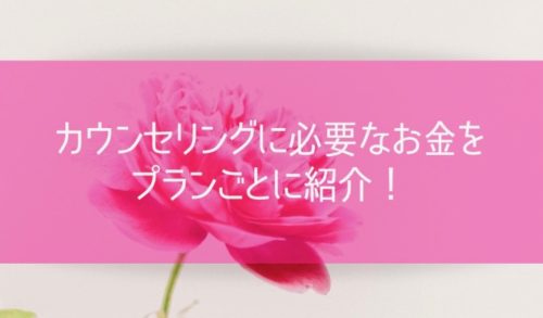 カウンセリングに必要なお金をプランごとに紹介！