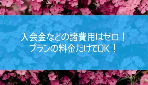 入会金などの諸費用はゼロ！プランの料金だけでOK！