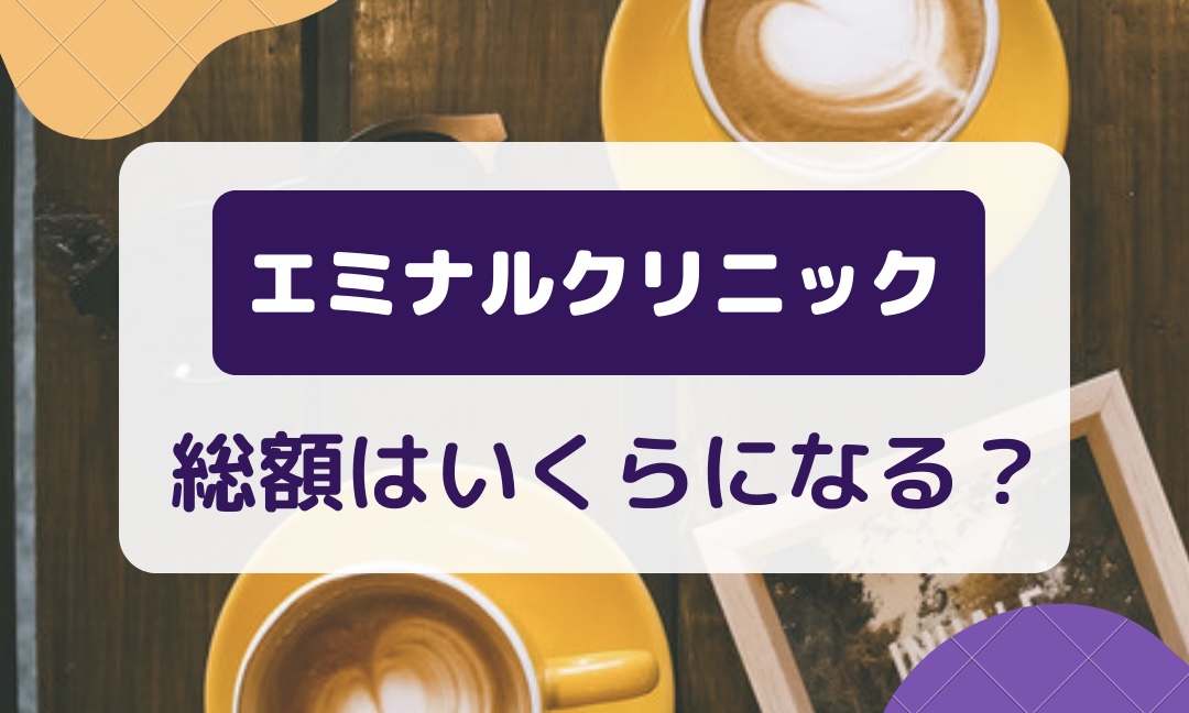 エミナルクリニックの総額はいくらになる？