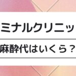 エミナルクリニックの麻酔代はいくら？