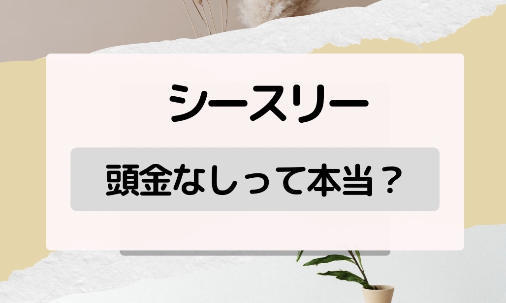 シースリーは頭金なしってほんと？